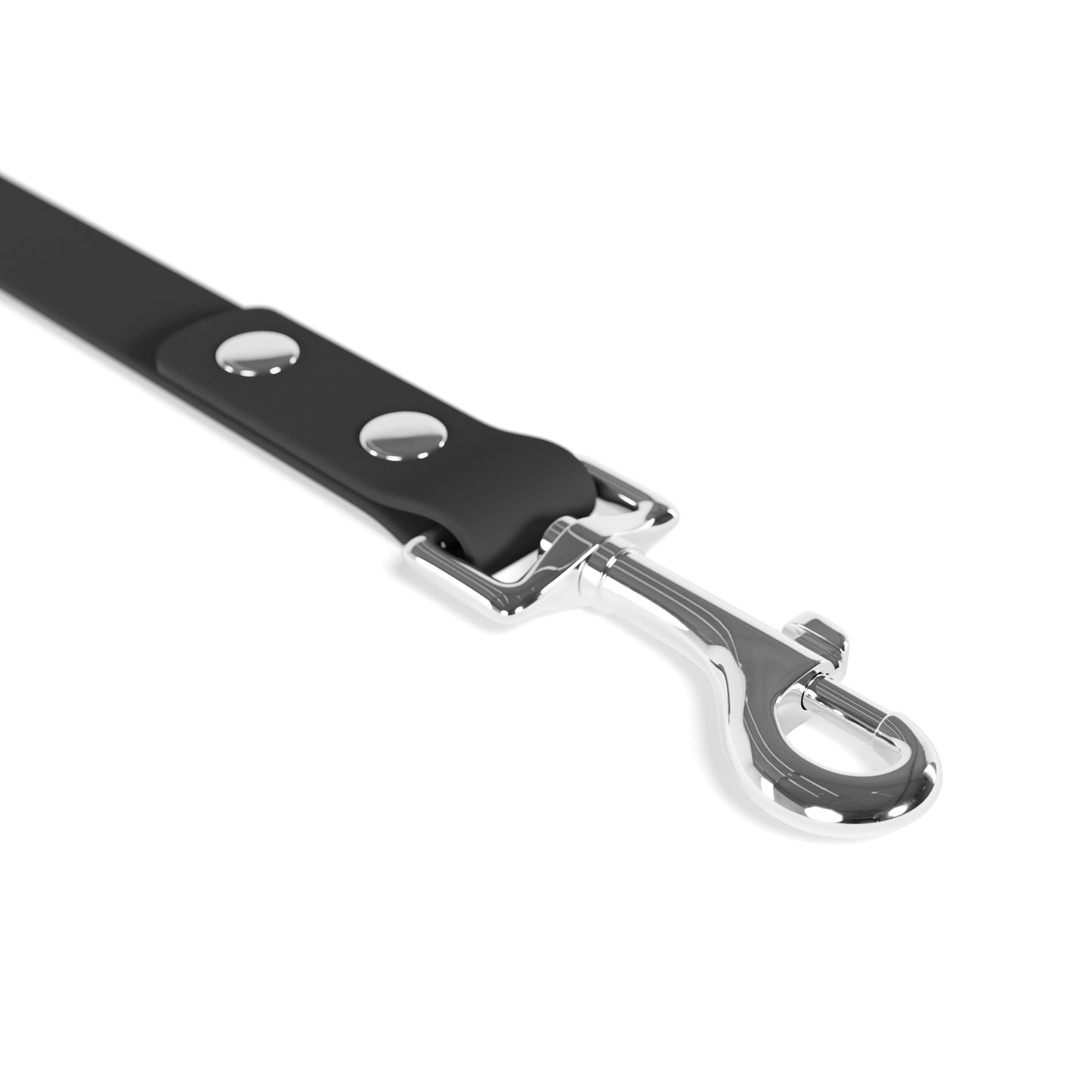 dawg leash (: