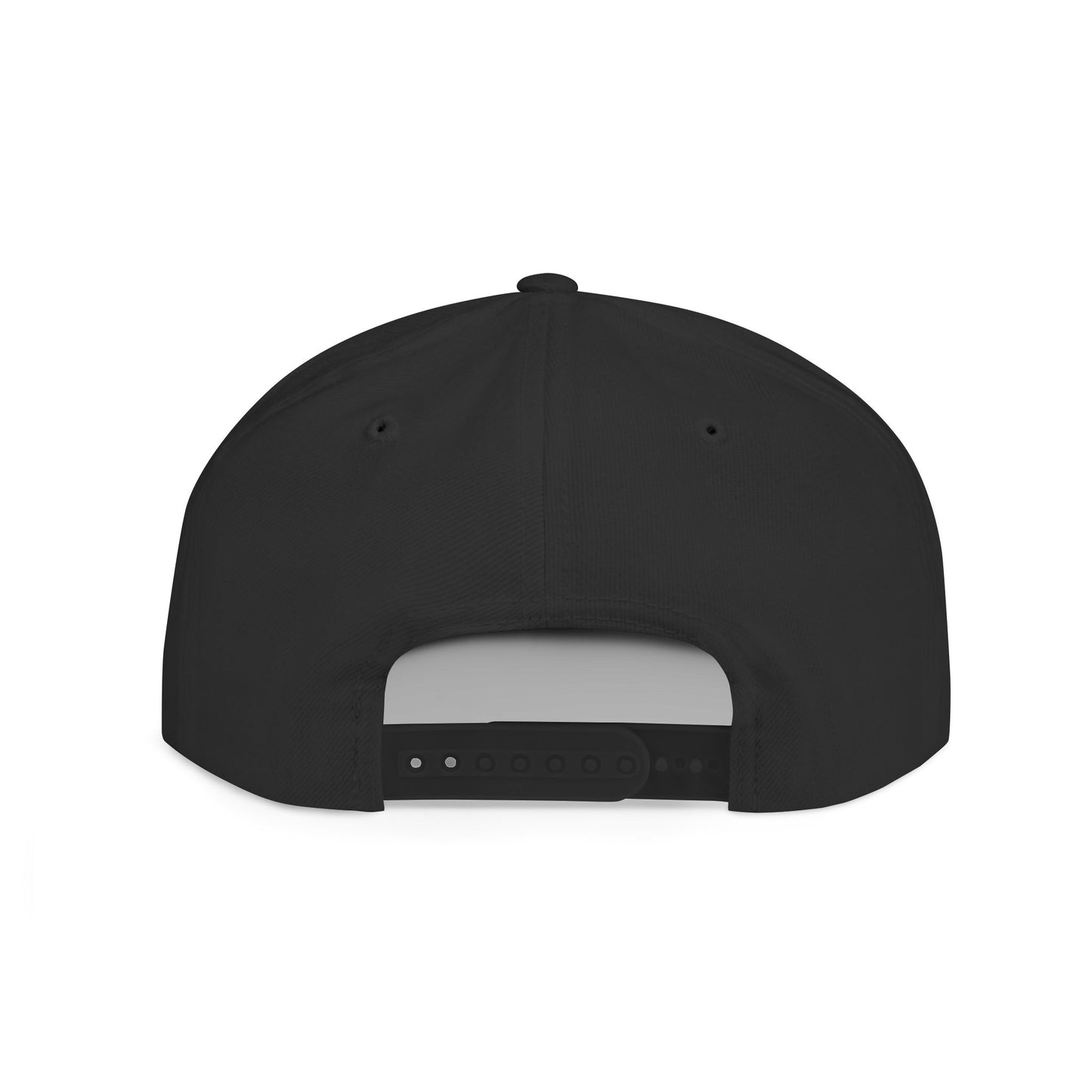 MetaLudological Flat Bill Snapbacks