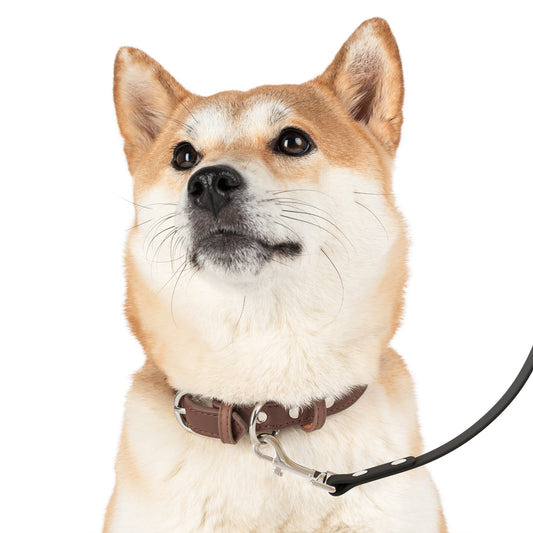 dawg leash (: