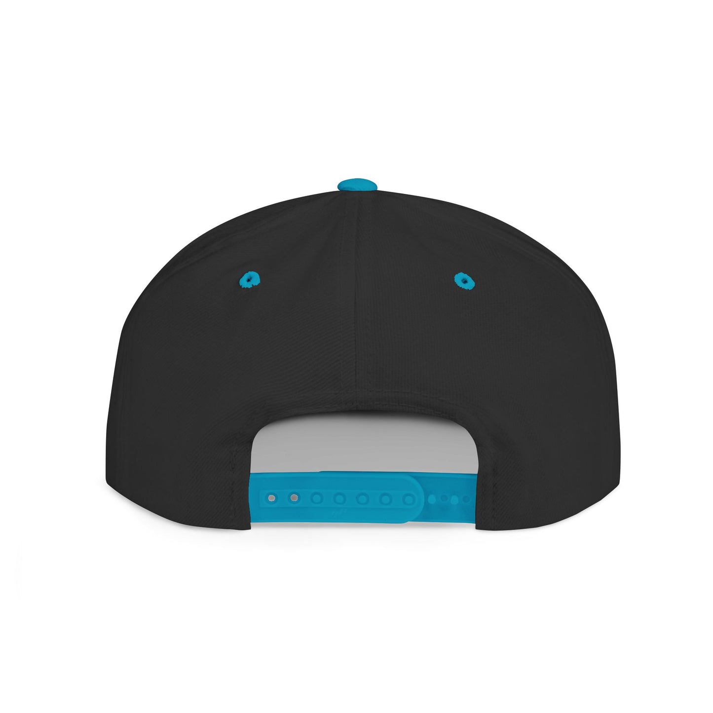 MetaLudological Flat Bill Snapbacks