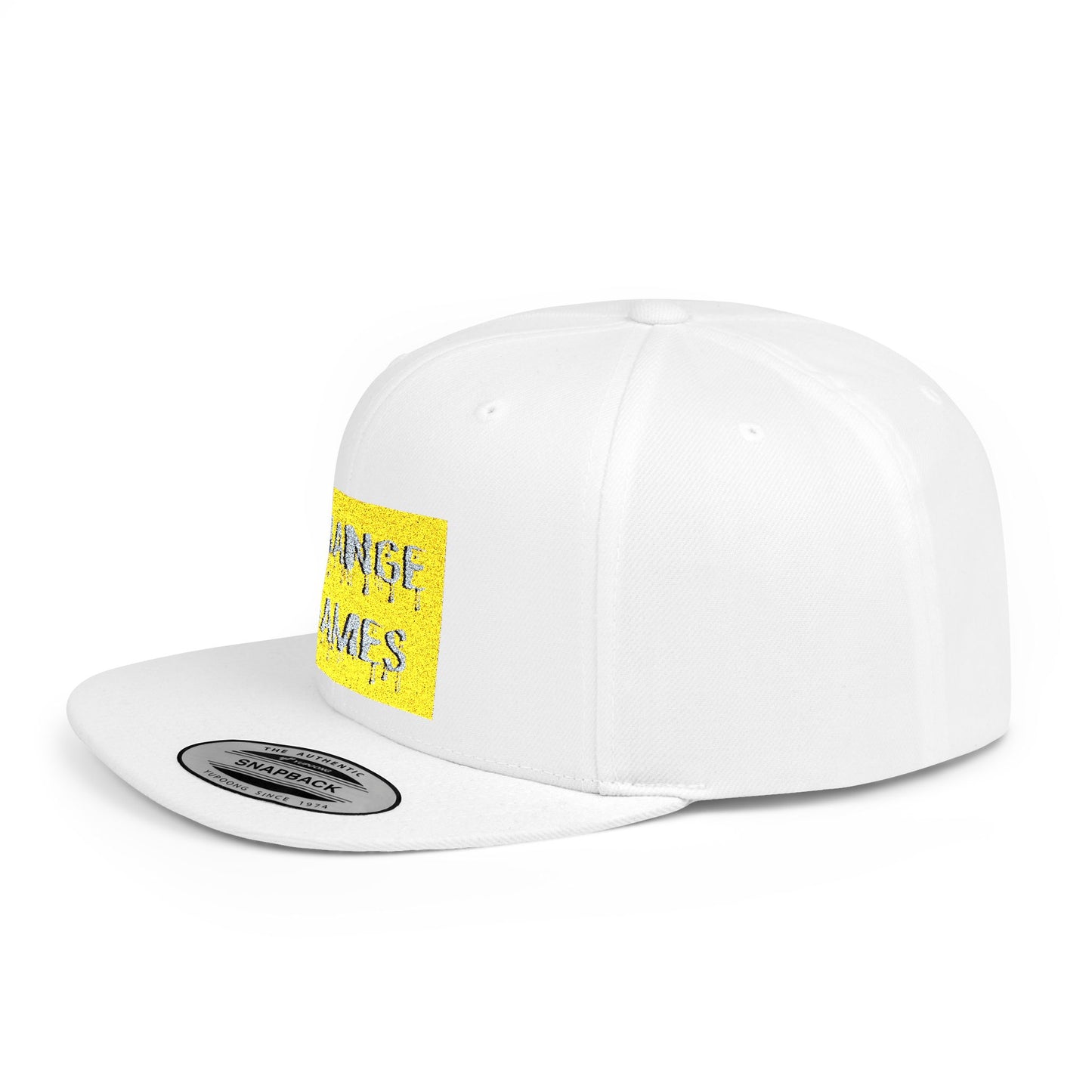 MetaLudological Flat Bill Snapbacks